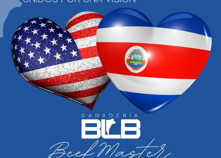 Plan el Trabajo y Trabajar el Plan